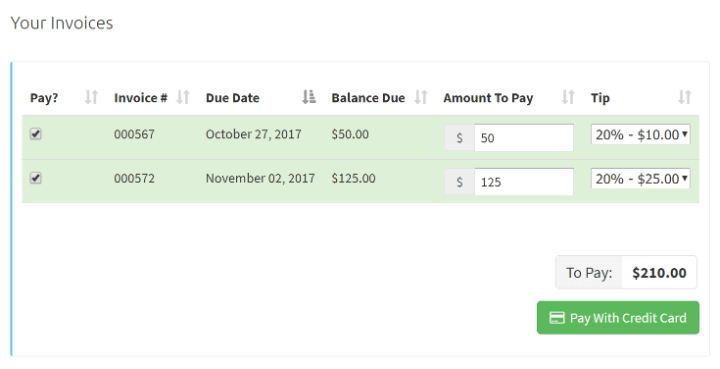 Portal Payment With Tip.png